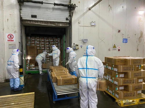 園區(qū)進(jìn)口冷鏈?zhǔn)称芳斜O(jiān)管倉正式啟用 技術(shù)進(jìn)出口與食品安全管控的雙重革新